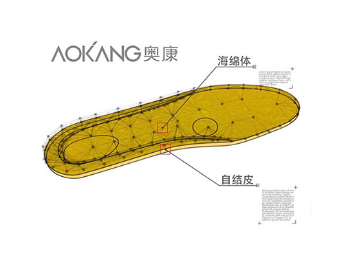 AOKANG 鞋墊 《康萊仕》圖形動(dòng)畫/